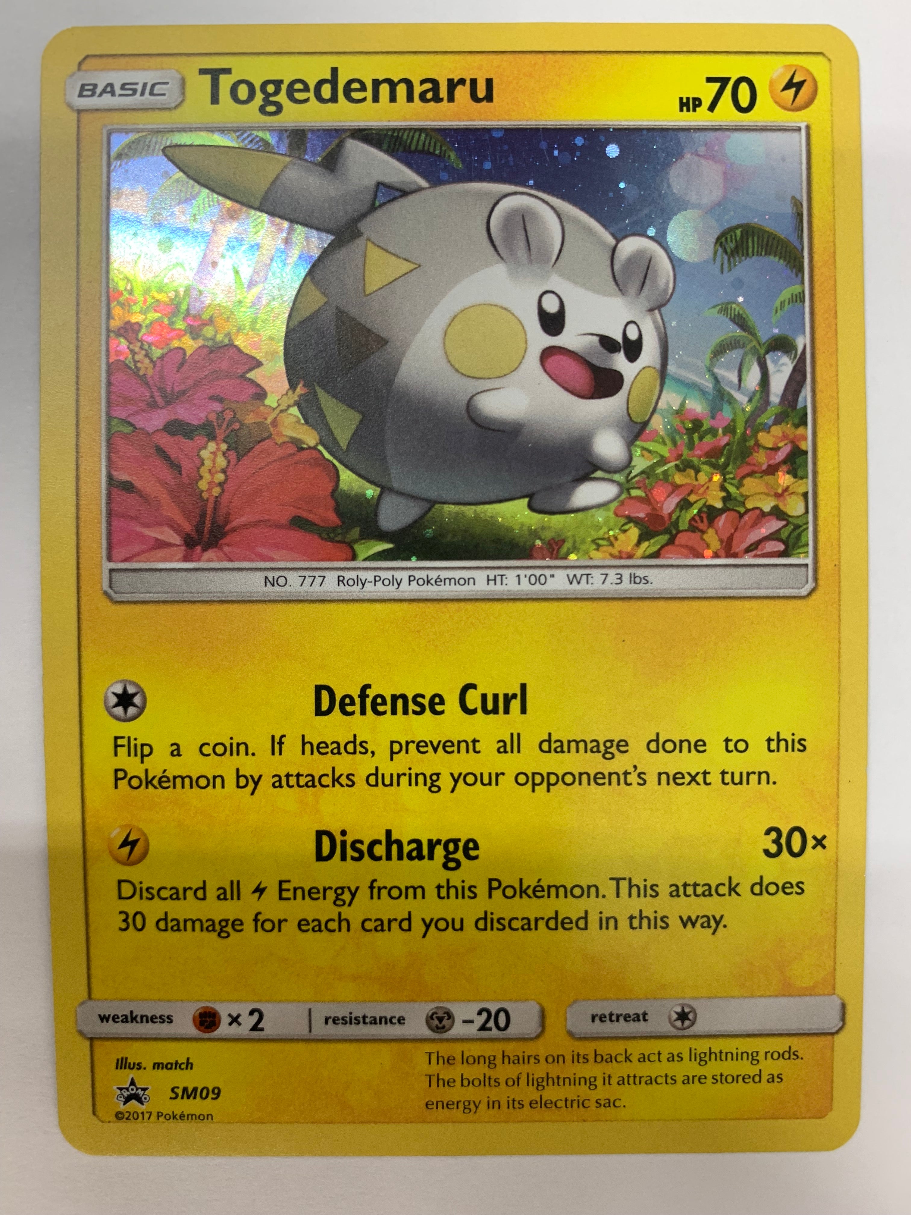 Togedemaru Black Star Promo SM09 Sun and Moon Rare Holo Pokemon Card N