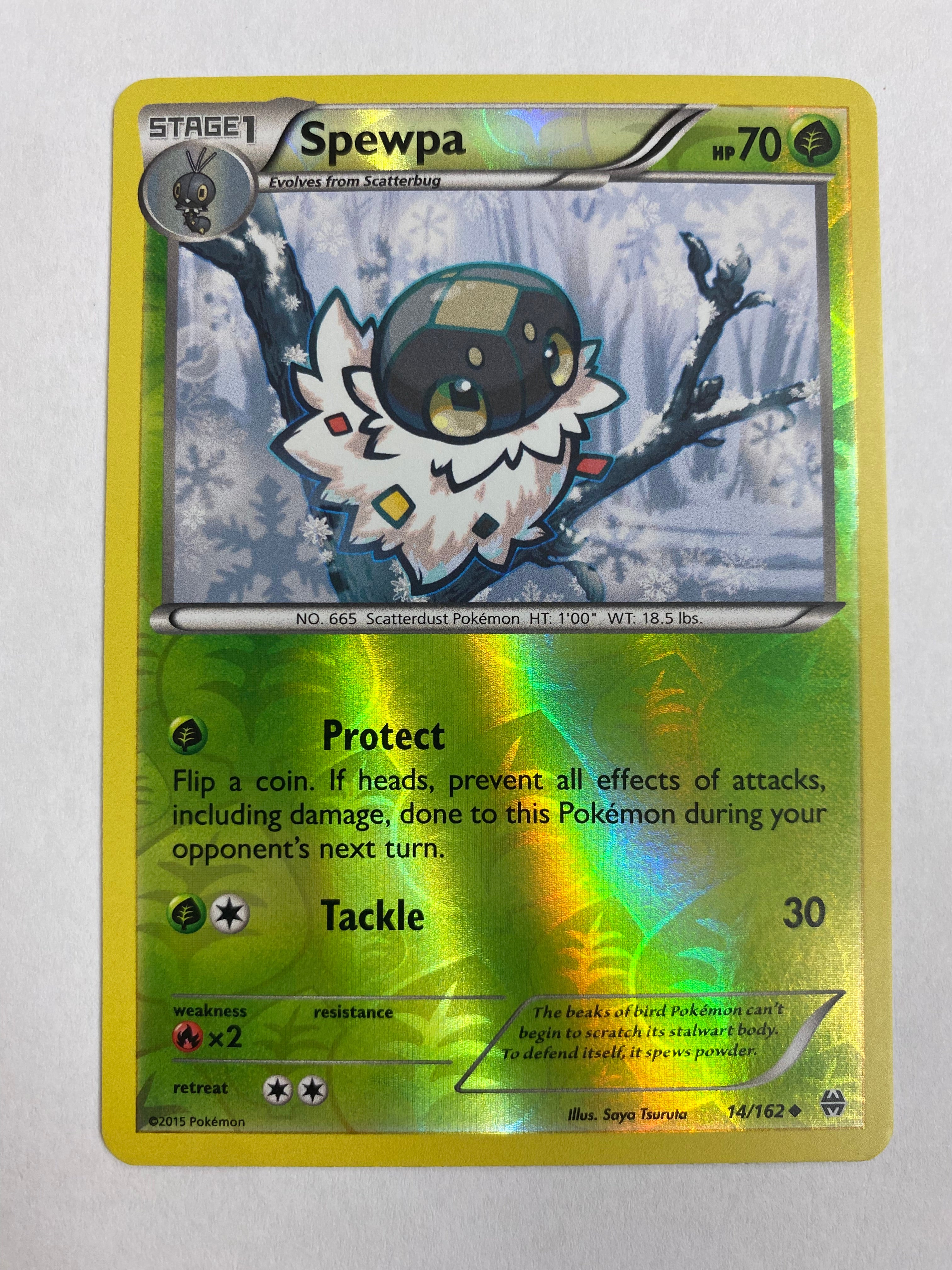 Spewpa 14/162 Reverse Holo Pokemon Card NM