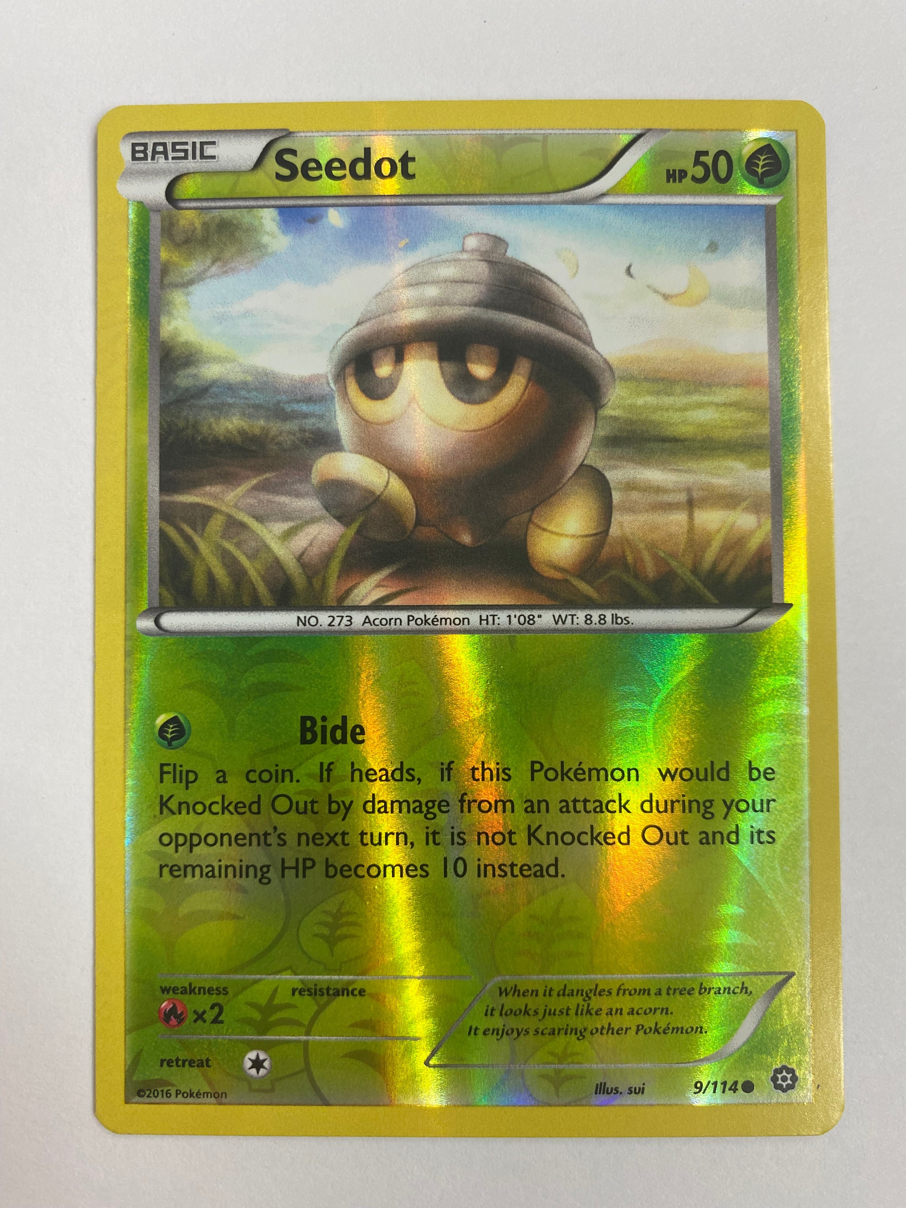 Seedot 9/114 Common Reverse Holo Pokemon Card Near Mint Seedot 9/114 Common Reverse Holo Pokemon Card Near Mint