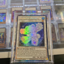 Ursarctic Polari - CR ANGU-EN033