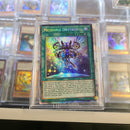 Meteonis Drytron - CR GEIM-EN032