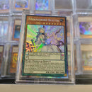 Tisolfachord Beautia - CR ANGU-EN020