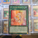 My friend purrely - CR AMDE-EN020