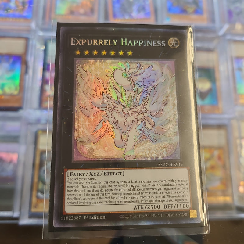 Expurrely Happiness - CR - AMDE-EN017