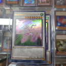 Accel Synchro Stardust Dragon - UR MAZE-EN019