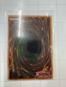 Noble Arms Museum (Quarter Century Secret Rare) - Duelist Nexus DUNE-EN057