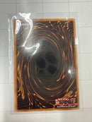 Epurrely Noir (Quarter Century Secret Rare) - Duelist Nexus DUNE-EN044