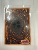 Evolzar Lars (Quarter Century Secret Rare) - Duelist Nexus DUNE-EN043