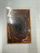 Terraforming (Quarter Century Secret Rare) - Battles of Legend: Monstrous Revenge BLMR-EN087