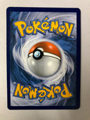 Wally RC27/RC32 Generations Radiant Collection Uncommon Pokemon Card NM