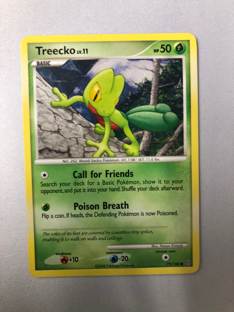 Treecko 79/100 Stormfront Non-Holo Common Pokemon Card NM