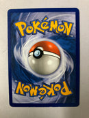 Pupitar 58/101 Dragon Frontiers Common Pokemon Card NM