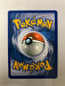 Raikou LV.42 16/132 Secret Wonders Holo Rare Pokemon Card NM