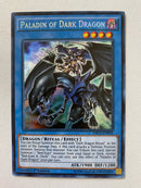 Yugioh Paladin of Dark Dragon DRL2-EN018 1st Edition Secret Rare Near Mint