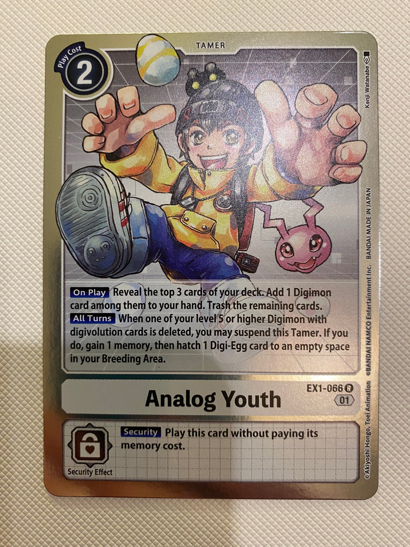 Digimon TCG Analog Youth  EX1-066 Rare Naer Mint