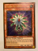 Yugioh Glow-Up Bulb  PGL2-EN033  Gold Rare  1st Edition Near Mint