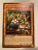 Yugioh Traptrix Dionaea - PGL2-EN041  Gold Rare 1st Edition Near Mint