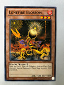 Yugioh Lonefire Blossom AP04-EN017 Common Unlimited Edition Near Mint