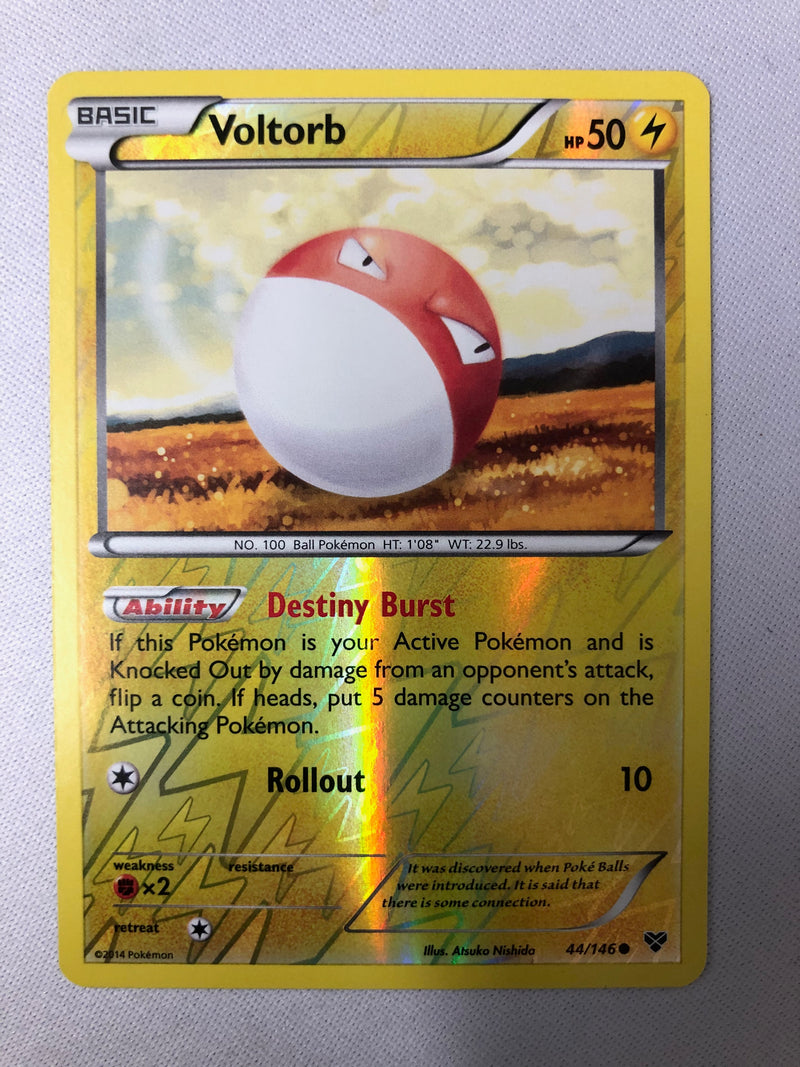Voltorb 44/146 XY Base Set Common Reverse Holo Pokemon Card NM