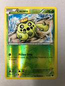 Cacnea 9/116 Plasma Freeze Common Reverse Holo Pokemon Card NM