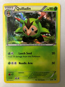 Quilladin 4/39 XY Trainer Kit Holo Pokemon Card NM