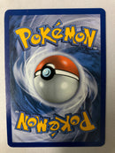 Quilladin 4/39 XY Trainer Kit Holo Pokemon Card NM