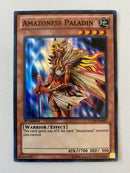 Yugioh Amazoness Paladin LCJW-EN087 1st Edition Super Rare Near Mint