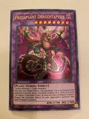 Yugioh Predaplant Dragostapelia  DUPO-EN069 Ultra Rare 1st Edition NM