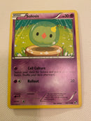 Solosis 55/114  Common Pokemon Card Naer Mint