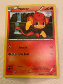 Pansear 21/114 Regular Common Pokémon Card Near Mint