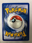 Torchic 77/97 EX Dragon Common Non-Holo Pokemon Card NM