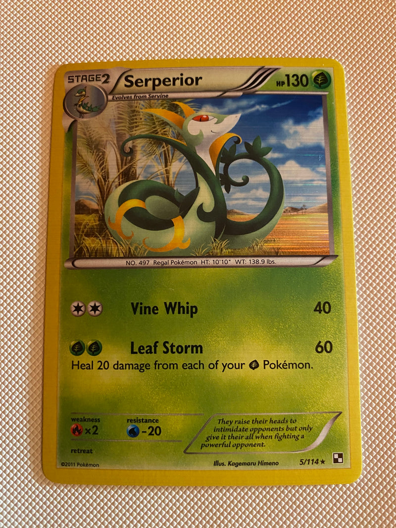 Serperior 5/114 Holo Rare Pokemon Card Near Mint