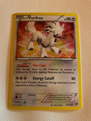 Furfrou 114/146 Holo Rare Pokemon Card  Near Mint