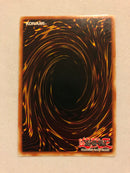 Yugioh Light and Darkness Dragon YG01-EN001 Limited Edition Secret Rare Near Mint