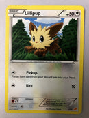 Lillipup 1/30 Excadrill Trainer Kit Non Holo Pokemon Card NM