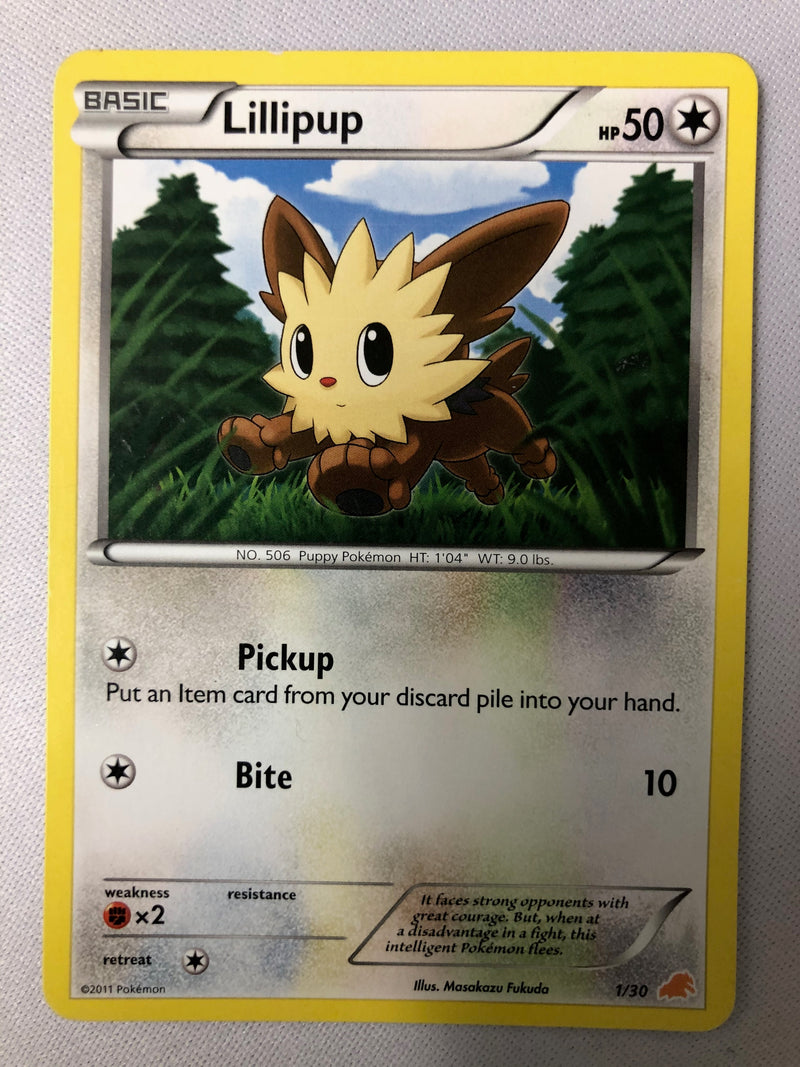 Lillipup 1/30 Excadrill Trainer Kit Non Holo Pokemon Card NM