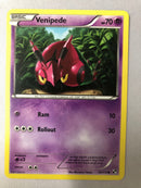 Venipede 52/114 Black & White Base Set Common Non Holo Pokemon Card NM