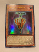Yugioh Sunseed Shadow GFTP-EN016 Ultra Rare 1st Edition  NM