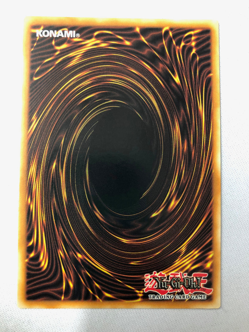 Yugioh Red-Eyes Slash Dragon LDS1-EN014 Legendary Duelists: Season 1 1st Edition Secret Rare NM