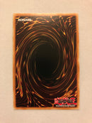 Yugioh Black Rose Dragon LIOV-EN100 Starlight Rare 1st Edition Near Mint