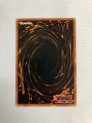 Yugioh Red Eyes B. Dragon BPT-005 Limited Edition Secret Rare Near Mint
