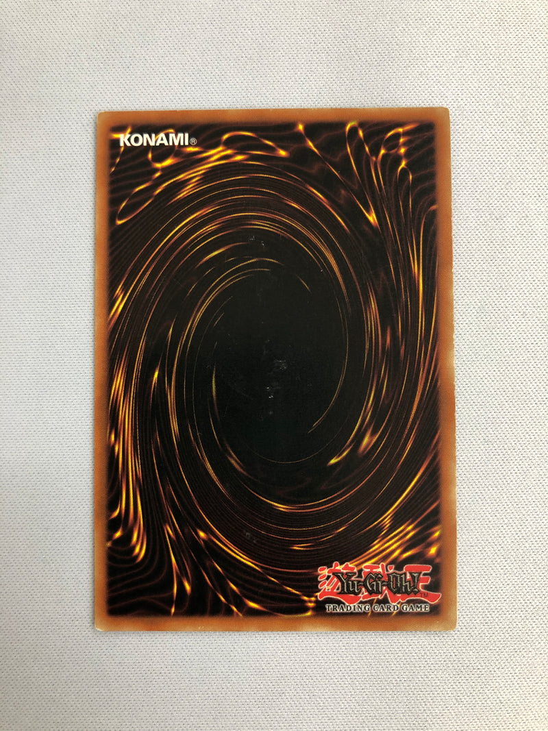 Yugioh Red Eyes B. Dragon BPT-005 Limited Edition Secret Rare Near Mint
