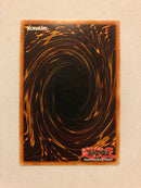 Yugioh Fiend's Sanctuary DPKB-EN035 Super Rare 1st Edition Near Mint