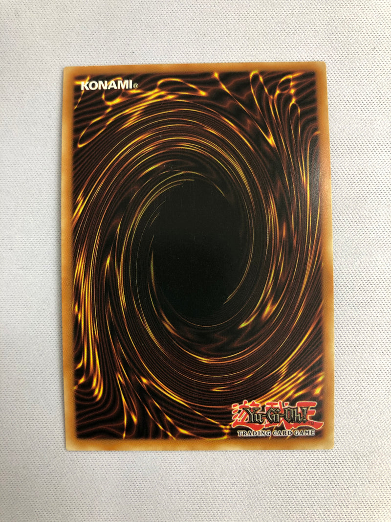 Yugioh Dark Paladin DPYG-EN016 Ultra Rare 1st Edition Near Mint