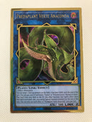Yugioh Predaplant Verte Anaconda MGED-EN036 Gold Rare 1st Edition NM