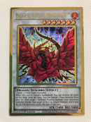 Yugioh Black Rose Dragon MGED-EN026 1st Edition Gold Rare NM