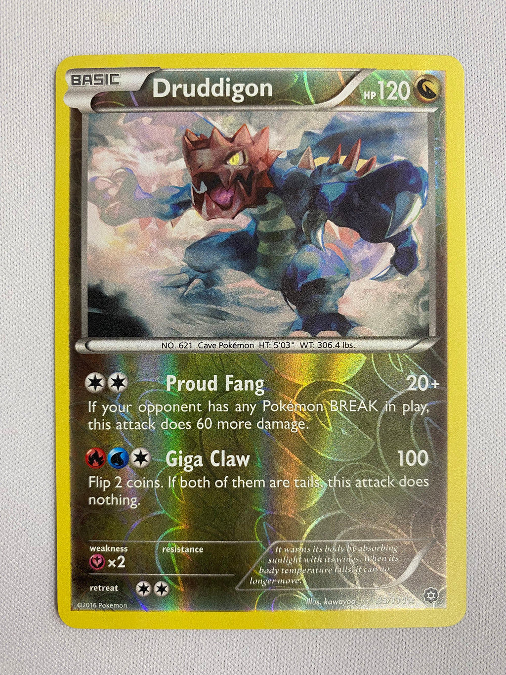 Druddigon Pokemon Card