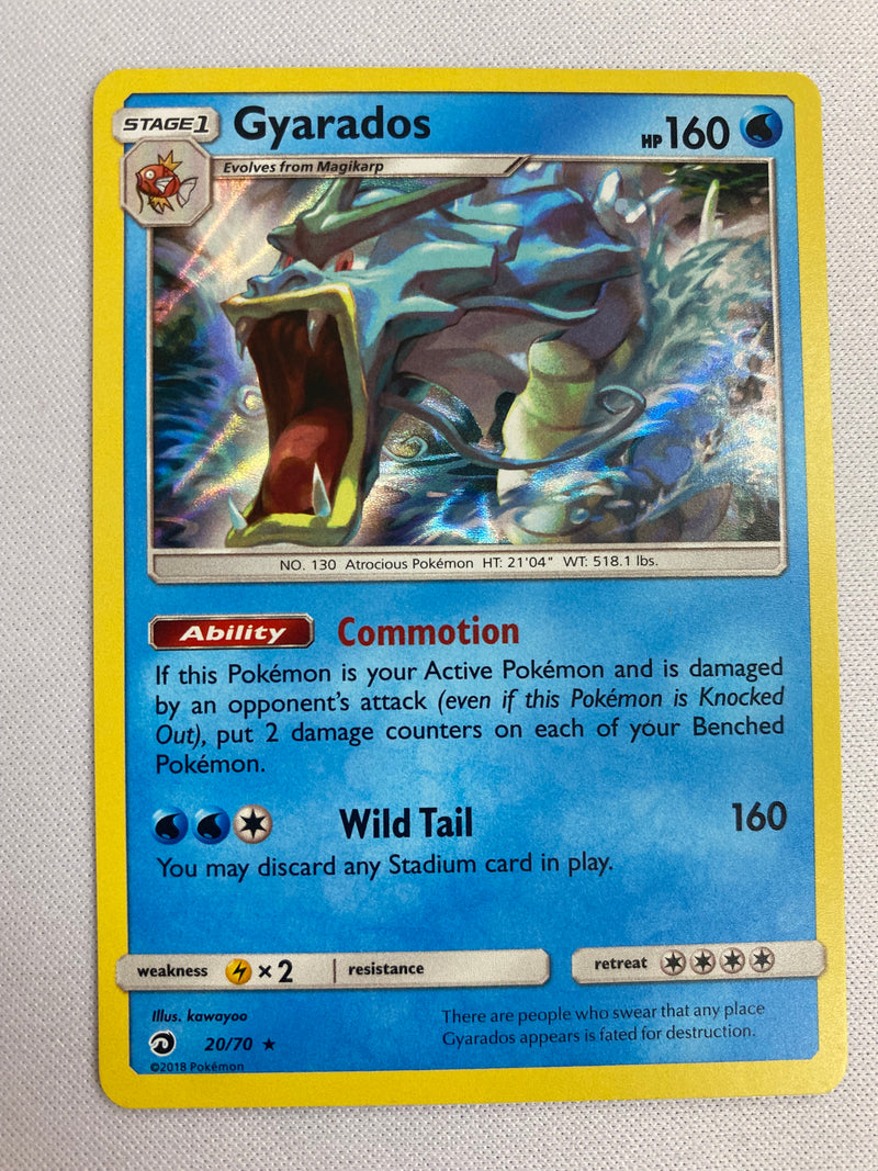 Gyarados 20/70 Pokemon Card  Dragon Majesty  Near Mint