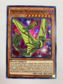 Yugioh Predaplant Heliamphorhynchus LED5-EN046 Super Rare 1st Edition NM