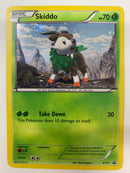 Skiddo XY11 Black Star Promo Holo Rare Pokemon Card Near Mint